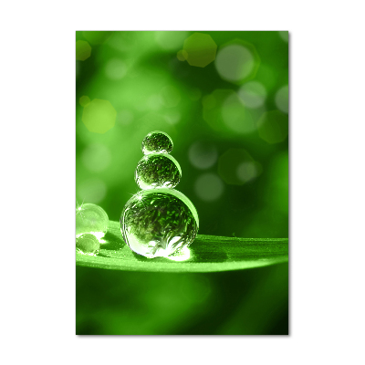 Verticaal glasschilderij Druppels op het gras