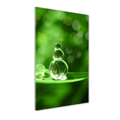 Verticaal glasschilderij Druppels op het gras
