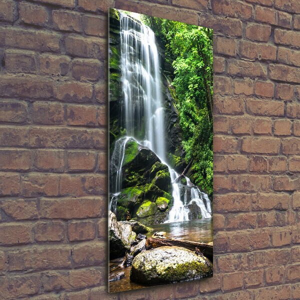 Verticale glasfoto Waterval in de jungle