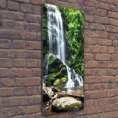 Verticale glasfoto Waterval in de jungle