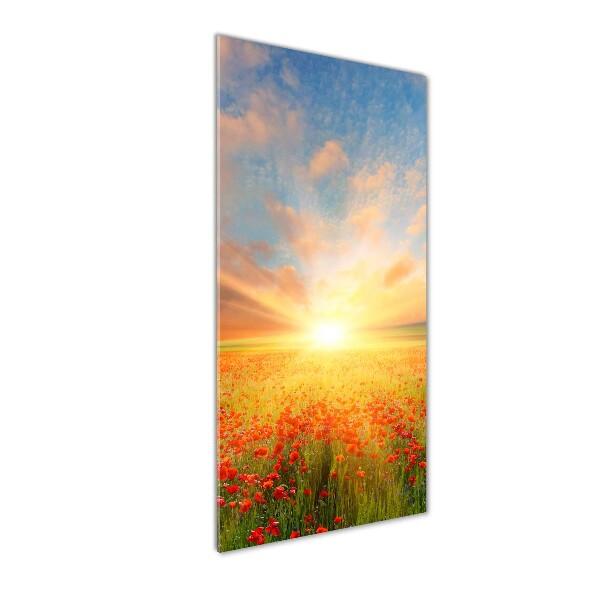 Verticale foto op glas Klaprozenveld