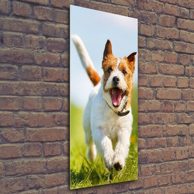 Verticaal glasschilderij Jack Russell hond