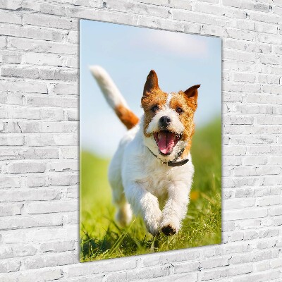 Verticaal glasschilderij Jack Russell hond