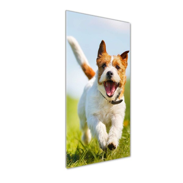 Verticaal glasschilderij Jack Russell hond