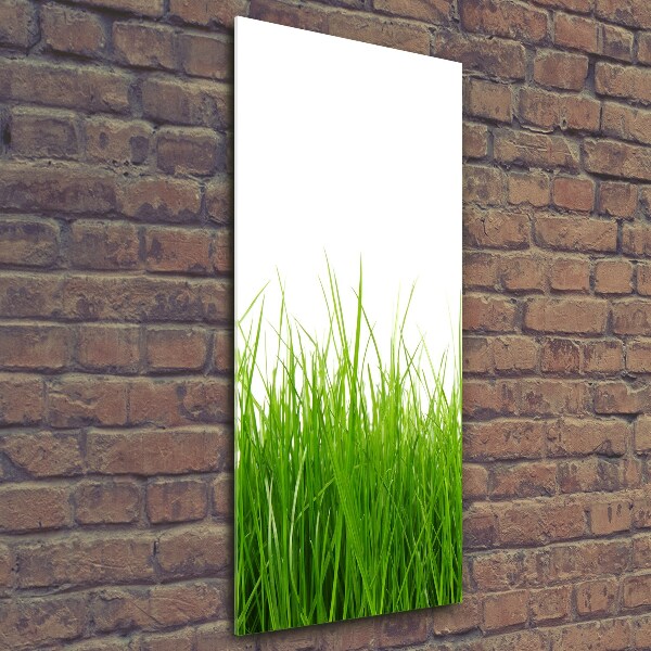 Verticale glasfoto Groen gras