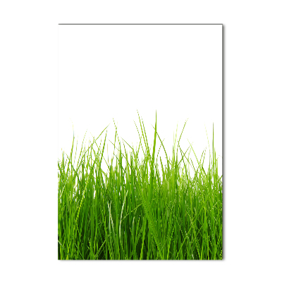 Verticale glasfoto Groen gras
