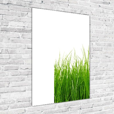 Verticale glasfoto Groen gras