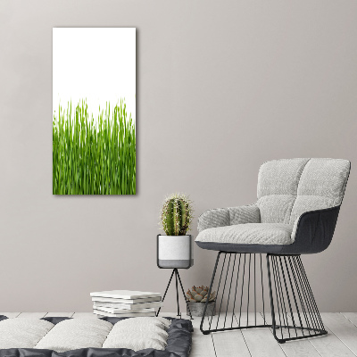 Verticale foto op glas Groen gras
