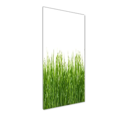 Verticale foto op glas Groen gras