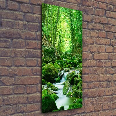 Verticale glasfoto Een beekje in de jungle