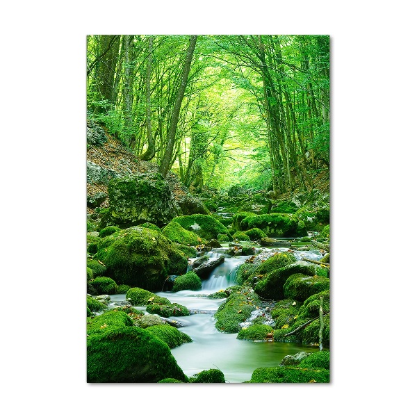 Verticale glasfoto Een beekje in de jungle