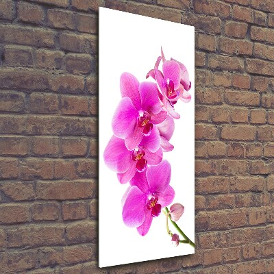 Verticale glasfoto Roze orchidee
