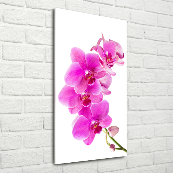 Verticale glasfoto Roze orchidee