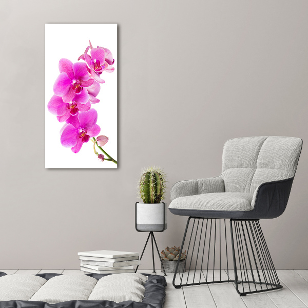 Verticale glasfoto Roze orchidee