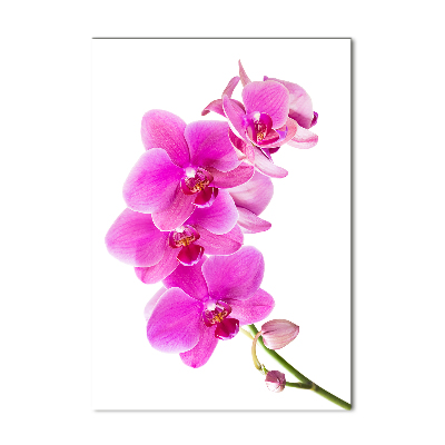 Verticale glasfoto Roze orchidee