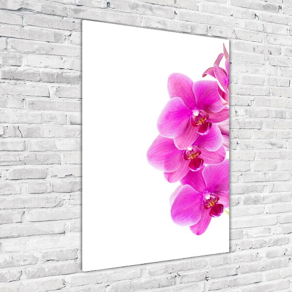 Verticale glasfoto Roze orchidee