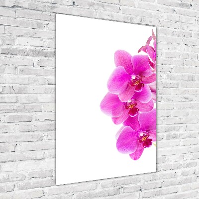 Verticale glasfoto Roze orchidee