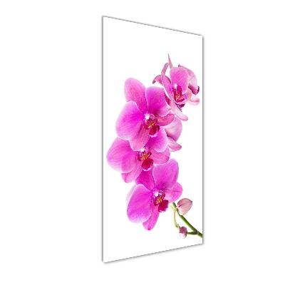 Verticale glasfoto Roze orchidee