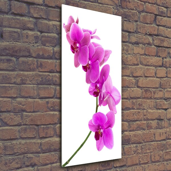 Verticale foto op glas Roze orchidee