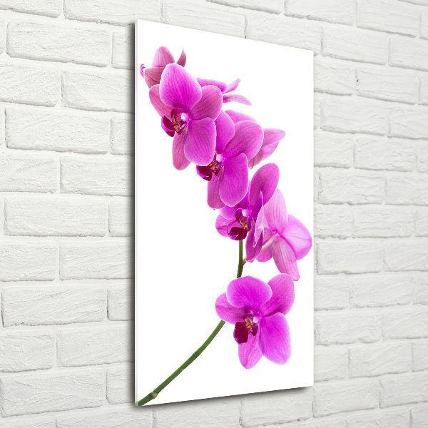 Verticale foto op glas Roze orchidee