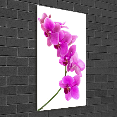Verticale foto op glas Roze orchidee