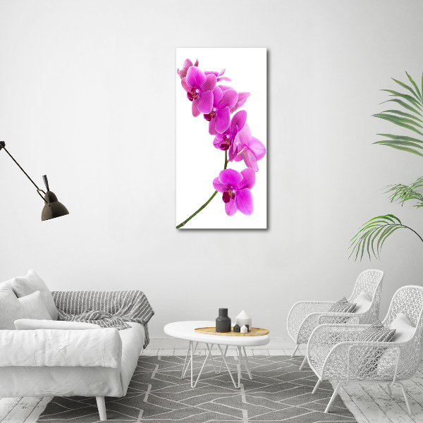 Verticale foto op glas Roze orchidee