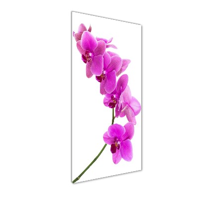 Verticale foto op glas Roze orchidee
