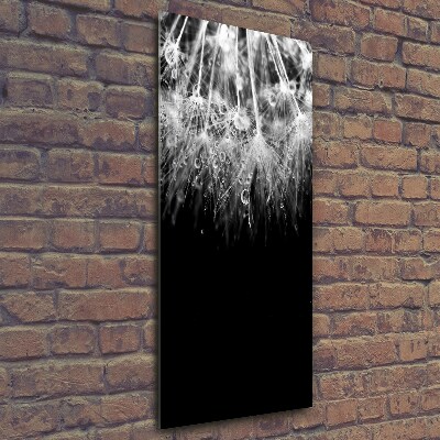 Verticale glasfoto Paardenbloemzaden