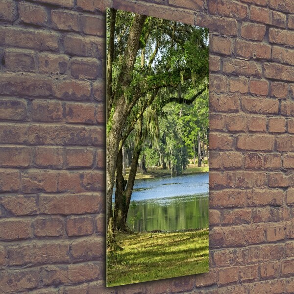 Verticaal glasschilderij Meer in het park