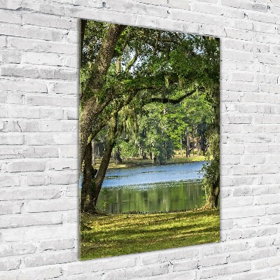 Verticaal glasschilderij Meer in het park