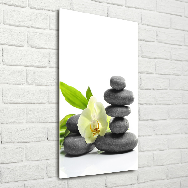 Verticaal glasschilderij Orchidee en stenen