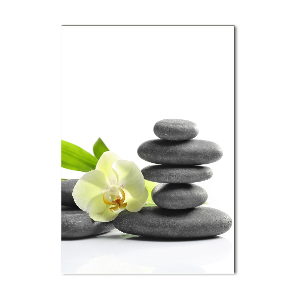 Verticaal glasschilderij Orchidee en stenen
