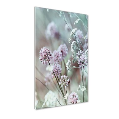 Verticale foto op glas Knoflookbloemen