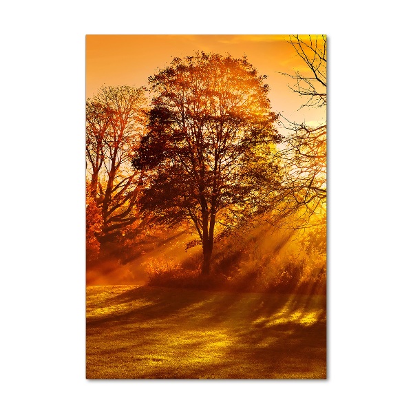 Verticaal glasschilderij Park in de herfst