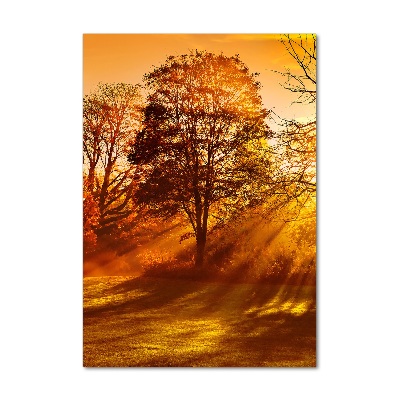 Verticaal glasschilderij Park in de herfst