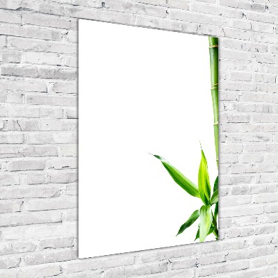 Verticale glasfoto Bamboe