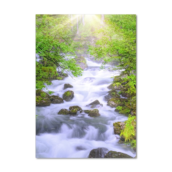 Verticale glasfoto Bergstroom