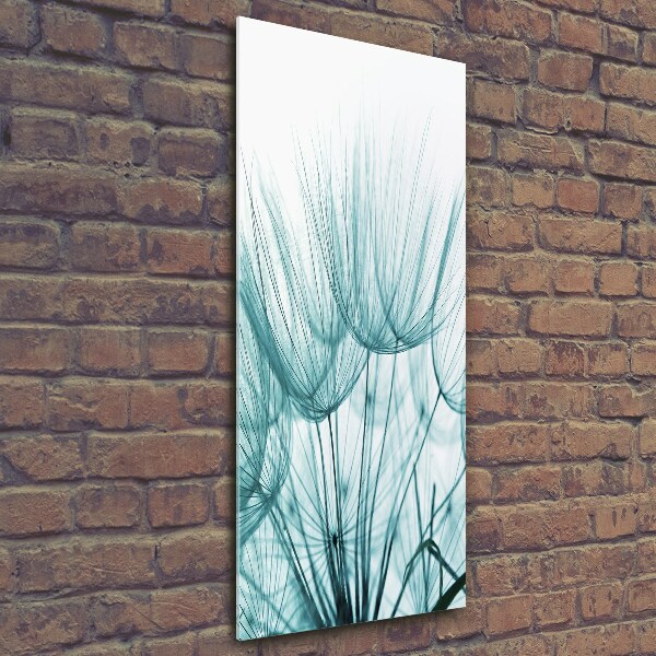 Verticale glasfoto Paardenbloemzaden