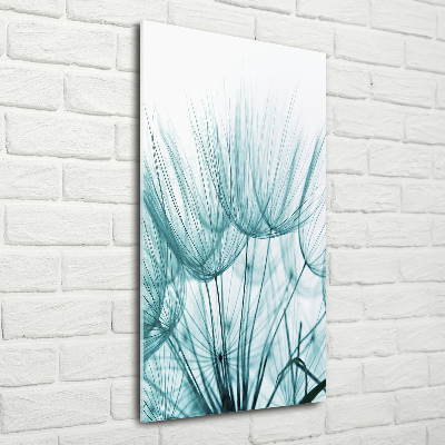 Verticale glasfoto Paardenbloemzaden