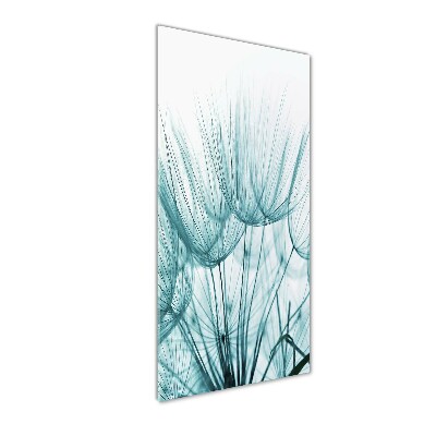 Verticale glasfoto Paardenbloemzaden