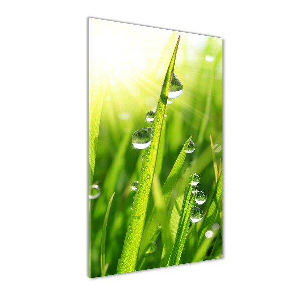 Verticale glasfoto grassprieten