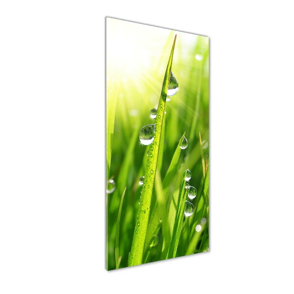 Verticale glasfoto grassprieten