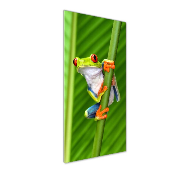 Verticale foto op glas Europese boomkikker