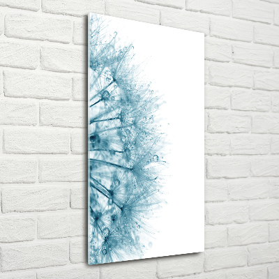 Verticale glasfoto Paardenbloemzaden