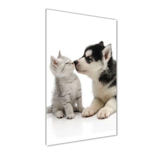 Verticale glasfoto Hond en kat