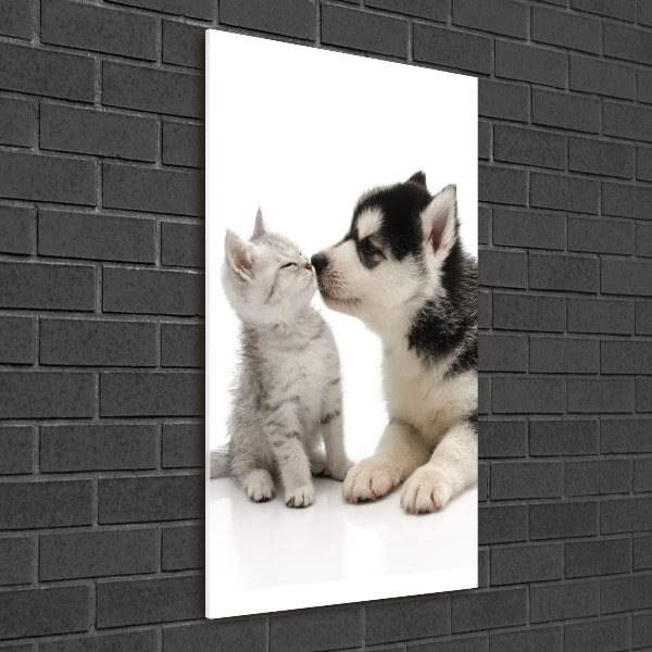 Verticale glasfoto Hond en kat