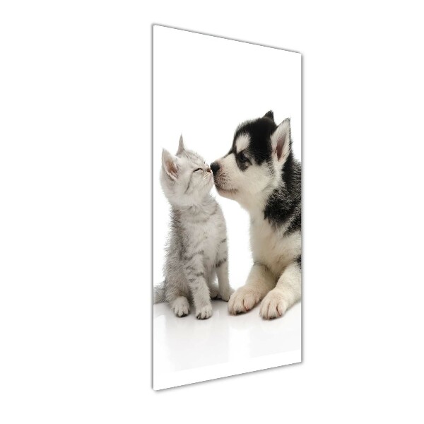 Verticale glasfoto Hond en kat