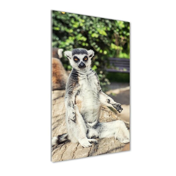 Verticale glasfoto Lemur