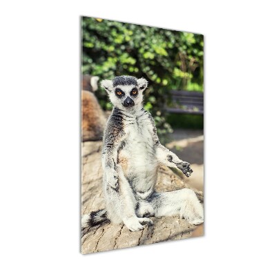 Verticale glasfoto Lemur