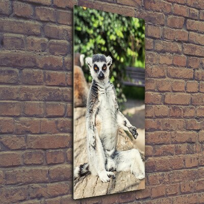 Verticale glasfoto Lemur